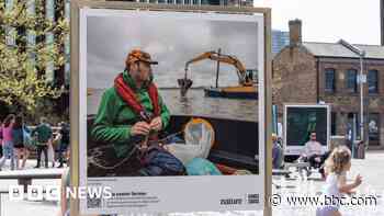 Oyster researcher stars in billboard exhibition