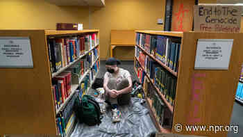 Photos: Campus protests continue nationwide as some turned violent