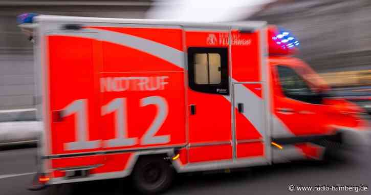 Lastwagen fährt in Grundstücksmauer – Fahrer schwer verletzt