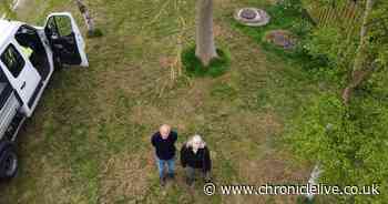 Newcastle man 'devastated' after council cuts wildflower meadow plot he nurtured for 10 years