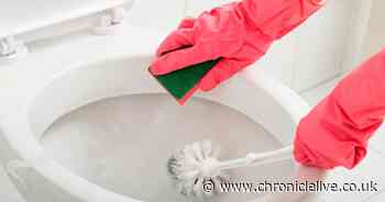 Cleaning expert shares two-minute 'holy grail' method to lift yellow toilet seat stains