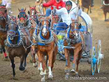 Doug Cuthand: Chuckwagon racer blazed impressive trail in Saskatchewan