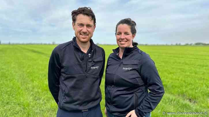 Brand zet streep door koeiendansen: 'Zo snel mogelijk een nieuwe datum'