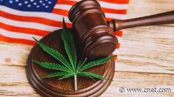 Which States Have Legalized Marijuana for Recreational or Medical Use?     - CNET