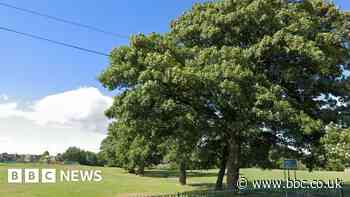 Teenagers treated for stab wounds and arrested