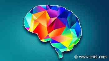 Hack Your Brain to Boost Happiness by Monitoring These 4 Hormones     - CNET