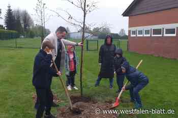 Hüllhorst: Grundschüler setzen sich für Nachhaltigkeit ein