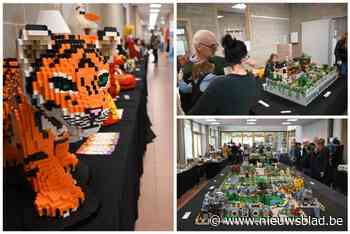 Futura Geluwe pakt uit met ‘Blokjesbeurs’ vol spectaculaire Legocreaties