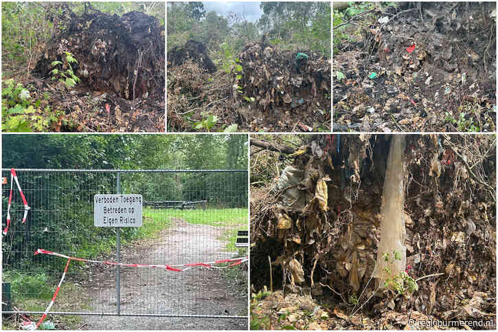 Herstelwerkzaamheden Trimbaan in Dwarsgouwpark na storm Poly gaan starten