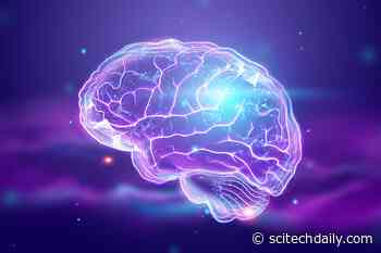 New Hope for Neurological Disorders: Scientists Have Discovered How an Essential Nutrient Enters the Brain