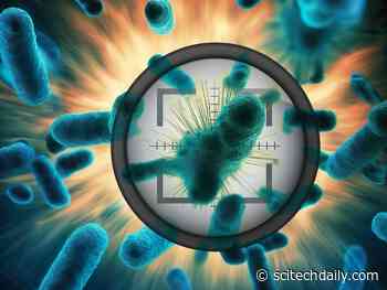 When Antibiotics Fail: MIT Scientists Use AI To Target “Sleeper” Bacteria