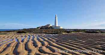 St Mary's split into three following North Tyneside Council election count