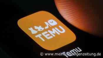 Shopping-App Temu in der Kritik: Verbraucherschützer warnt