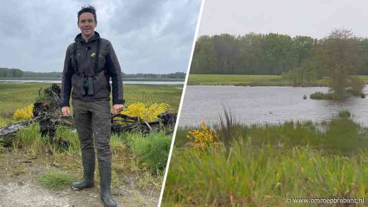 Brabant kreeg meer natuur erbij de afgelopen jaren: 'Dat is geweldig'