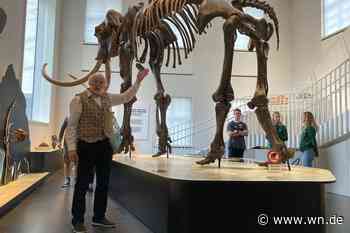 Zwischen Gesteinen, Mammuts und besonderen Funden