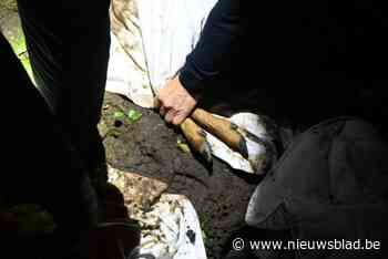 “Schrikwekkend”: Agenten houden ruim anderhalf uur hert in bedwang