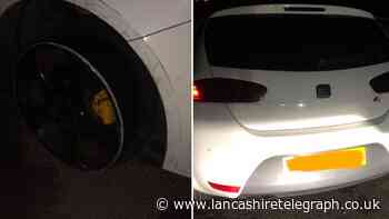 Driver arrested after walking dog on hard shoulder of M6
