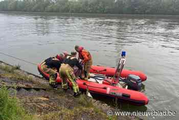 Brandweer redt opnieuw ree uit het Albertkanaal