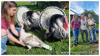 Kündigung wegen Eigenbedarf: Sie geben Tieren ein Zuhause – nun trifft es sie selbst!