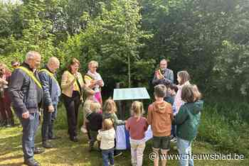 Berlaar verwelkomt nieuwe spruiten met geboorteboom