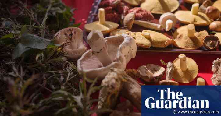 Functional fungi: UK embraces mushroom coffee as latest ‘healthy’ food trend