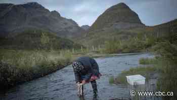 This court case could set groundbreaking precedent for Indigenous land rights in Europe