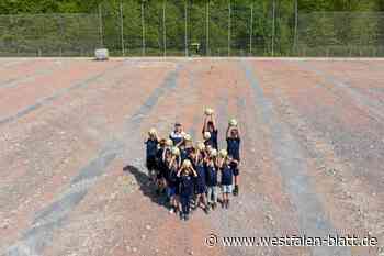 Die alte Asche aus Bielefeld liegt jetzt in Minden