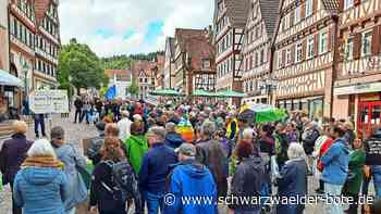 Gegen Rechtsextremismus: Deutlich mehr als 200 Teilnehmer demonstrieren für ein buntes Calw