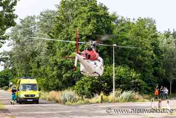 Motorrijder in levensgevaar na botsing tegen boom in Zulte