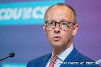 Merz allein ist zu wenig