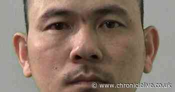 Suspiciously hot house in Northumberland led police to cannabis farm