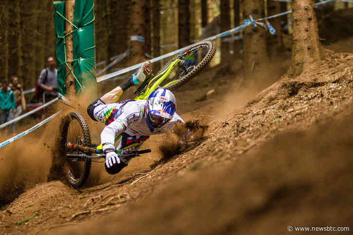 XRP Holders Stack Coins Despite Price Dip: Bullish Signal Or HODL Of Desperation?