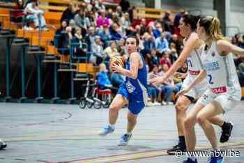 OVERZICHT PROVINCIAAL BASKETBAL. Houthalen B ongeslagen kampioen, neemt eerste plek