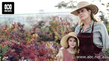 Calls for investment in Australian film crews to meet demand ahead of local content quotas for streaming services