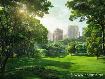 Wie grüne Städte CO2 aus der Atmosphäre holen könnten