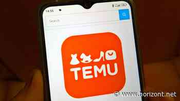 Kritik an chinesischem Billig-Händler: Rossmann-Chef fordert Abschaltung von Temu bei Regelbrüchen