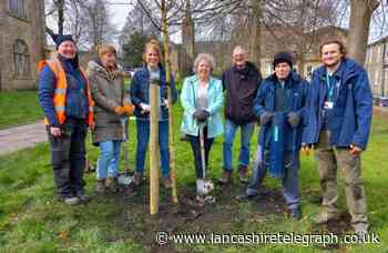 Students working to rejuvenate Accrington Pals memorial