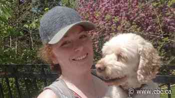 Why some experts question if aggressive dogs should get lifetime 'criminal records'