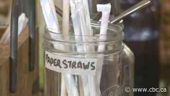 'They suck': Sask. MP takes aim at paper straws, tables bill pushing back against single-use plastics ban