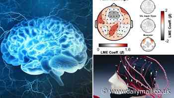 Our brains have a built-in GPS! Scientists pinpoint a 'neural compass' that prevents us from getting lost