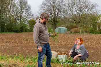 Den Bosbeekhof start met project ‘Uitgestelde Groenten’: “Zo helpen we gezinnen in nood met verse groenten via de voedselpakketten van het OCMW”