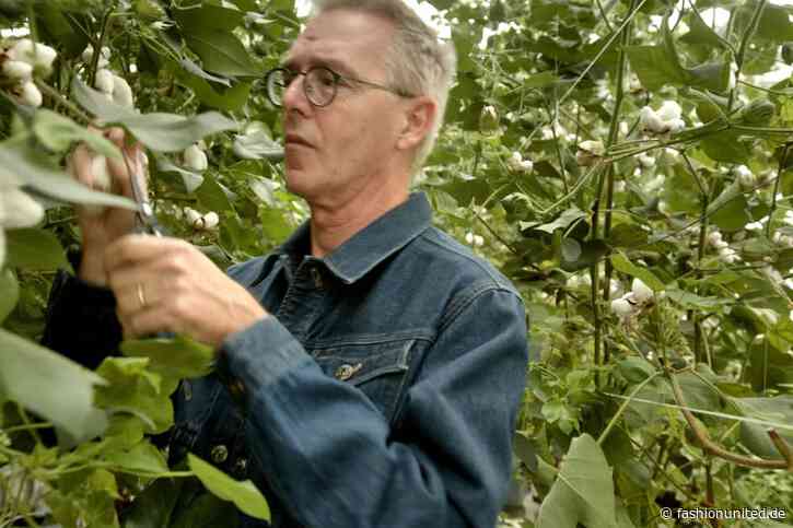G-Star: Kommt Baumwolle künftig aus holländischen Gewächshäusern?