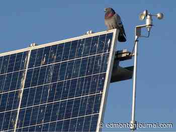 Edmonton to finalize permanent clean energy retrofit program