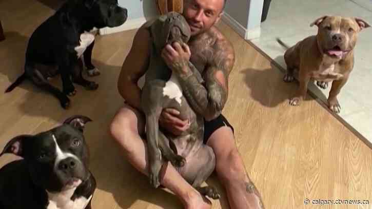 Sentencing hearing expected for owner of dogs who fatally attacked Calgary woman