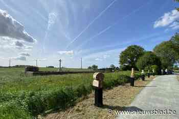 Kunstwerken met gedumpte CWRM-beeldjes verdwijnen binnenkort