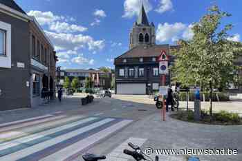 Bijlengooier die afgeranseld werd en zijn aanvallers riskeren alle drie jaar cel