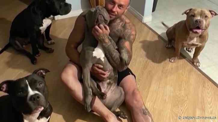 Man banned from owning animals after fatal Calgary dog attack