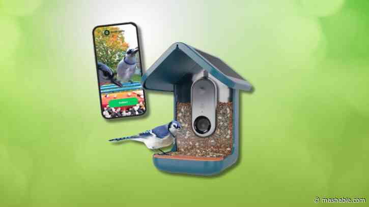 Save $30 on the Bird Buddy smart birdfeeder ahead of Mother's Day
