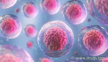 Hematopoietic Cell Transplantation Use Has Increased for All Racial Groups