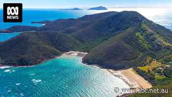 Controversial China-based developer sells lease of tropical island off Queensland coast